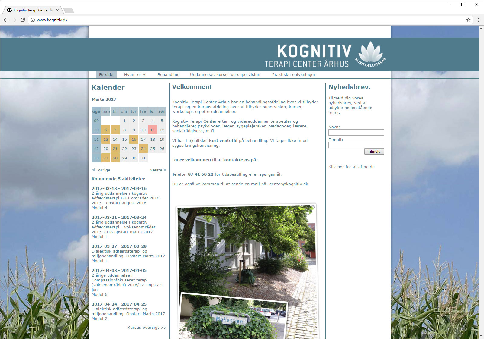 kognitiv.dk-1.jpg