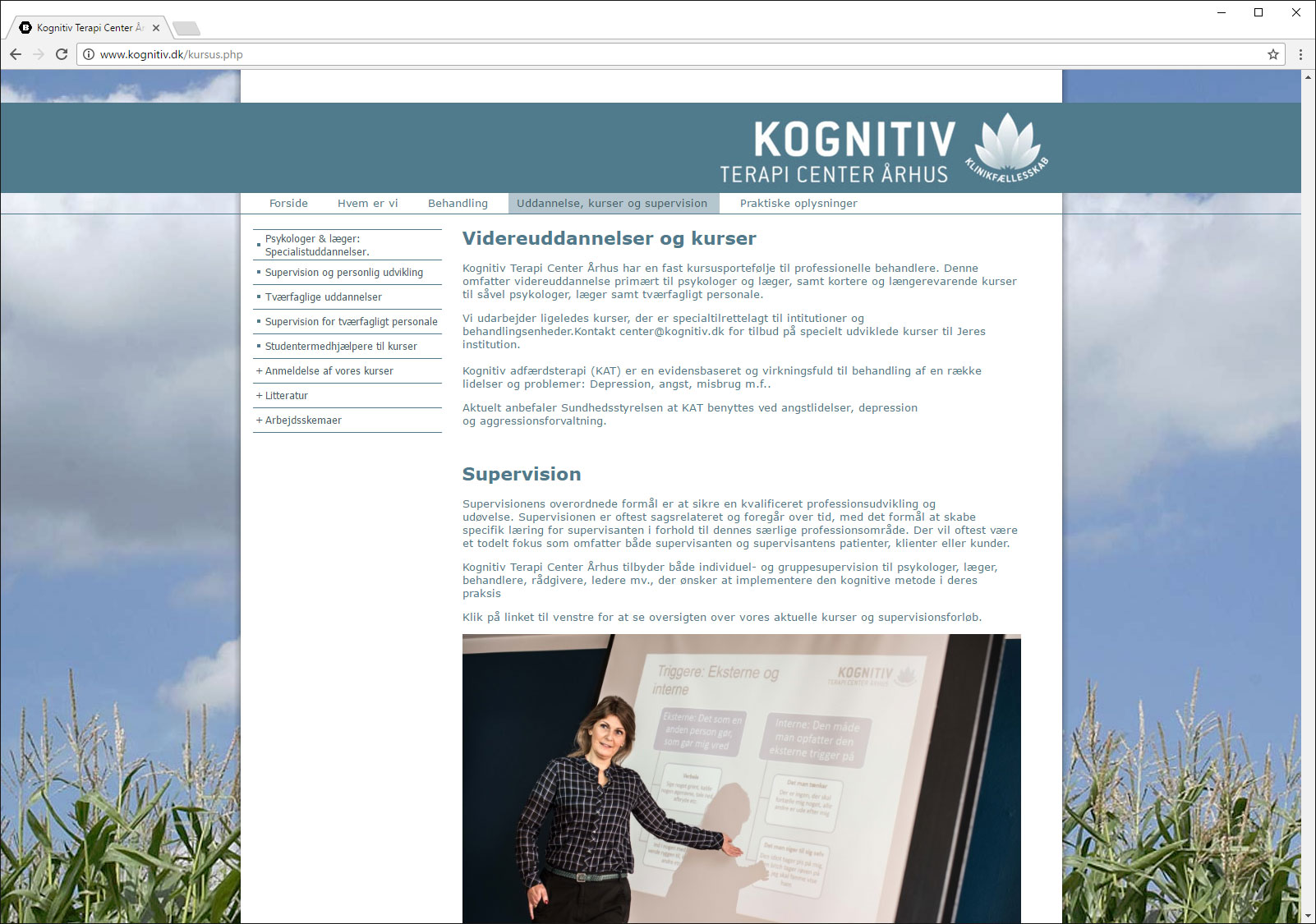 kognitiv.dk-3.jpg