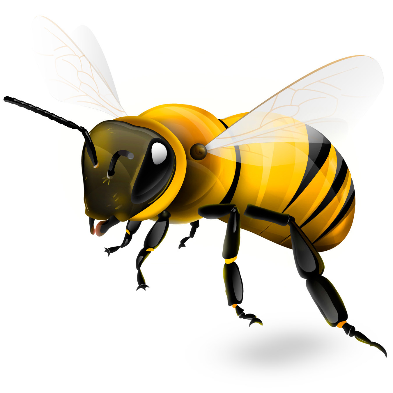 3D Bee Spejlvændt.jpg