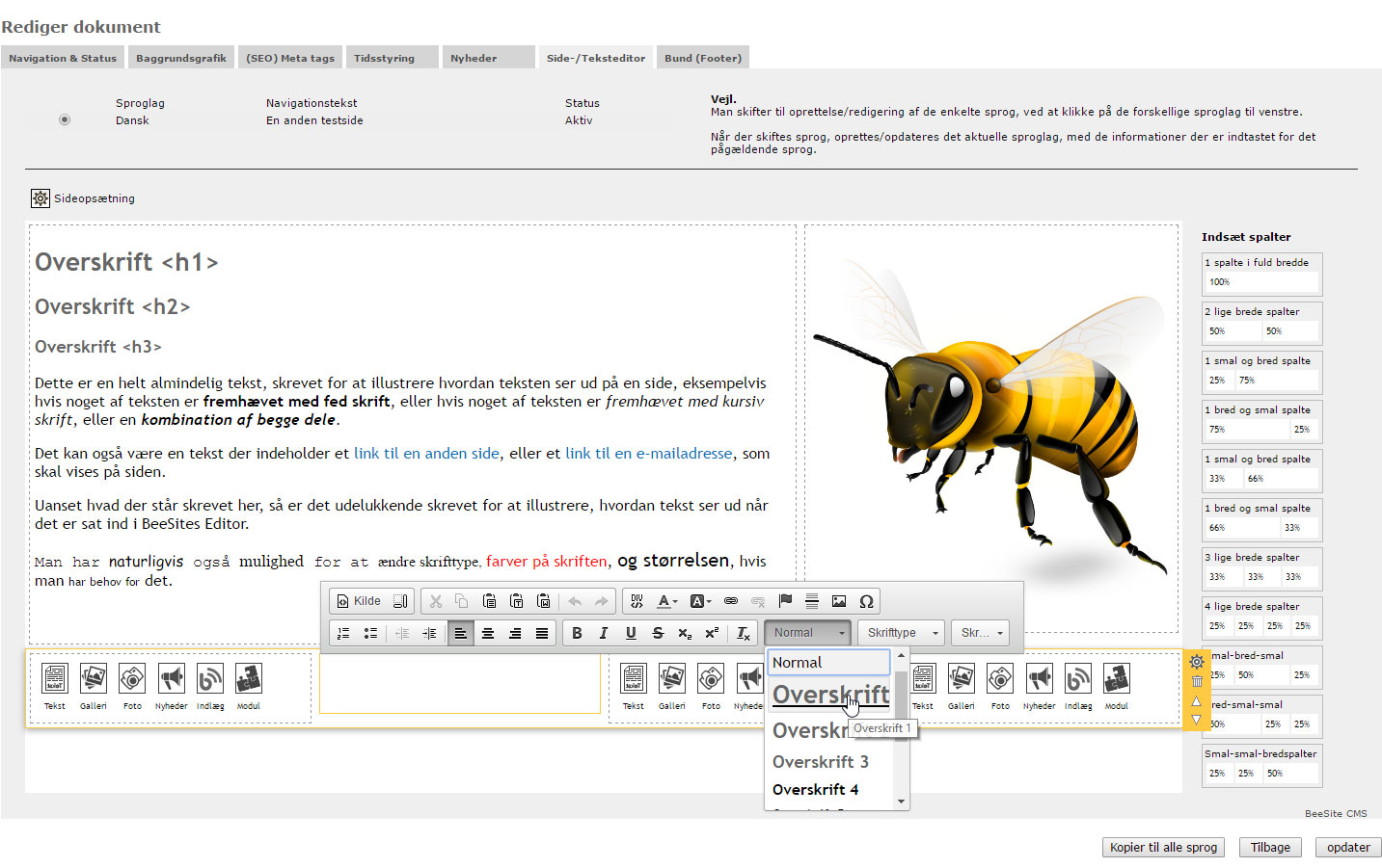 Screenshoot - BeeSite Editor (CMS)